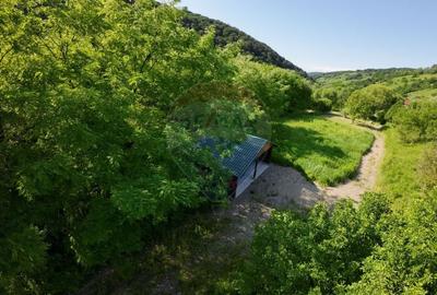 Teren agricol extravilan de 5144 mp, în Est - 4