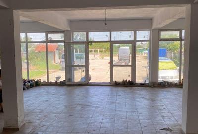Spatiu Comercial de Inchiriat Ulmi DN71 HALA 140MP+800MP TEREN - 6