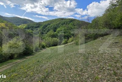 Spațiu comercial, în Pădure - 8
