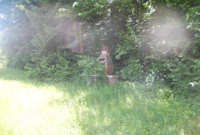 Teren de 10000 mp, în Central - 18