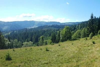 Spațiu comercial, în Dorna-Arini - 1