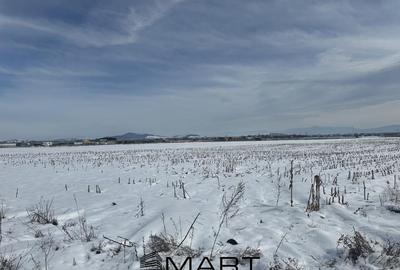 Teren Construcții intravilan de 425 mp, în Stupini - 3