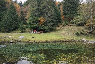 Teren intravilan de 4591 mp, în Plaiul Foii - 2