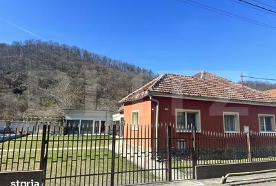 Casă cu 3 camere cu Teren 3298 Mp în Vețel - 4