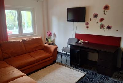 Apartament semidecomandat în Tineretului - 2