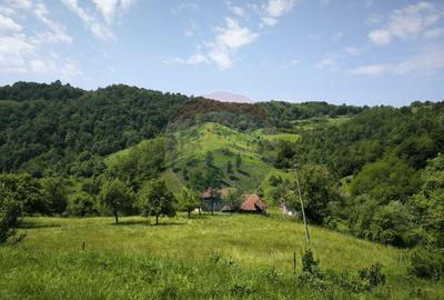 Teren intravilan de vis in Mun?ii Apuseni, curent + izv... - 3