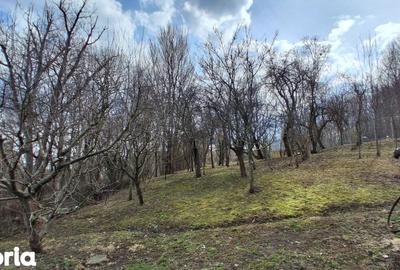 Casă cu 4 camere cu Teren 1600 Mp în Poiana - 13