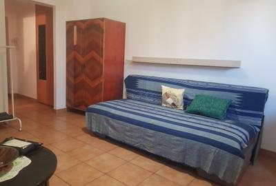 Inchiriere garsoniera metrou Dristor, etaj intermediar, 270 euro - 7