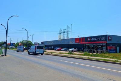 Casă individuală cu 4 camere cu Canalizare în Berceni - 11