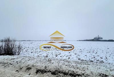 Teren de 4579 mp, în Schineni (Săucești) - 3