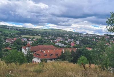 Teren de 1000 mp, în Bucium
