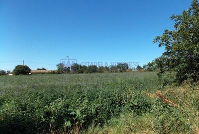 TUZLA - Teren intravilan 1000 mp, langa lacul Techirghiol! TUZLA - Teren intravilan 1000 mp, langa lacul Techirghiol! - 9