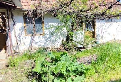 Casă cu 3 camere în Voivodeni - 4
