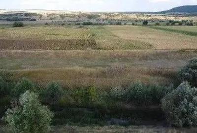 Teren Extravilan Banca, ID: R2805492 - 3