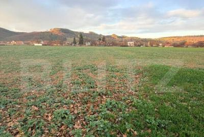 Teren de vanzare in Zarne?ti 1150 m2, pozi?ie exce - 4