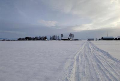 Teren Construcții intravilan de 2810 mp, în Sineu - 7