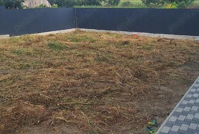 Casă cu Teren 630 Mp în Horia - 5