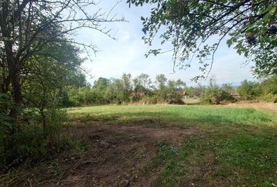 Teren intravilan cu potential, casa si anexe in Lunca - 18