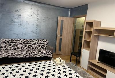 Garsonieră în Brazda lui Novac - 2