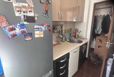 Apartament cu 3 camere semidecomandat în Valea Ialomiței - 3