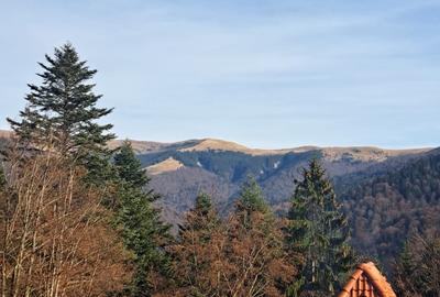 Apartament de 2 camere, 70 mp, în inima zonei Furnica – Sinaia | Terasă | Ideal - 1