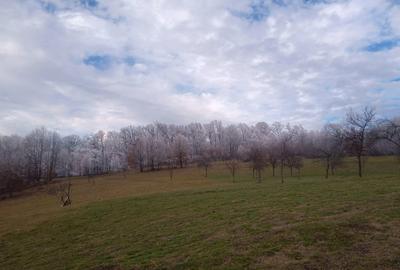 Teren de 17264 mp, în Pietroasa - 4