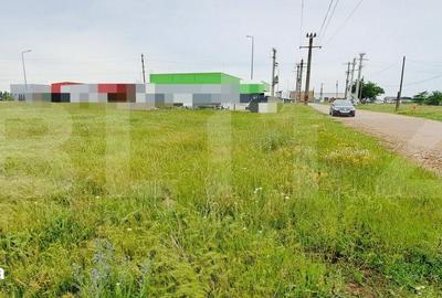 Teren de 3000 mp, în Cârcea