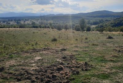 FARA COMISIOANE TEREN parcelabil 10756mp linga padure Comuna Dumbravita Brasov - 8