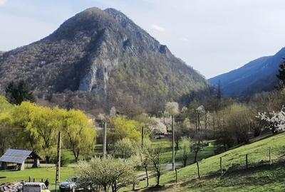 Teren de 8674 mp, în Padeș - 4