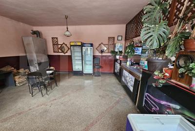 Spatiu Comercial + Apartament de vanzare Comuna Romuli - 2
