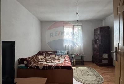 De vanzare casa cu curte generoasa - Fierbinti Targ, Ialomita - 11