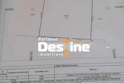 Teren Intravilan - Hlincea (Ciurea) 1000Mp - 1