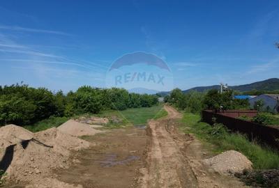 Teren Construcții intravilan de 11533 mp, în Merișor - 7