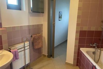 VILA INDIVIDUALA P+1 / PIPERA / DRUMUL BISERICII / 1350 TEREN VILA INDIVIDUALA P+1 / PIPERA / DRUMUL BISERICII / 1350 TEREN - 19