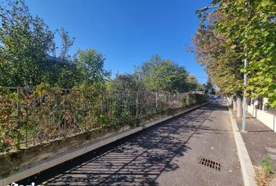Teren de 5300 mp, în Dămăroaia - 4