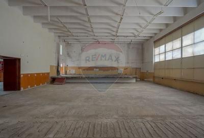 Vanzare cladire comerciala in Municipiul Sacele, judetul Brasov - 9