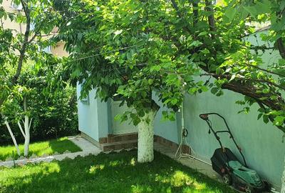 Casă cu 5 camere cu Teren 1000 Mp în Central - 2