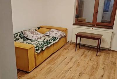 Vand casa becicherecu mic 15 km de Timi?oara - 8