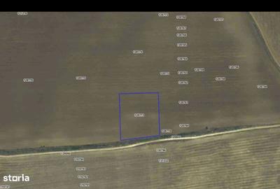 Spațiu comercial, în Valu lui Traian - 4