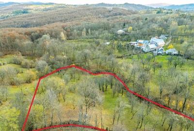 Teren intravilan de 4384 mp, în Talea - 4