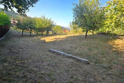 TEREN LOC DE CASA DE VANZARE FILIPESTI  BOGDANESTI - 4