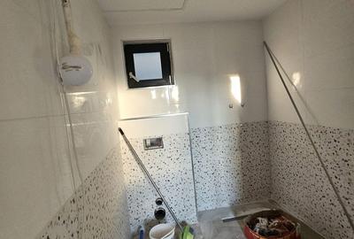 Casă cu 2 camere cu Teren 1628 Mp în Băița - 5