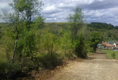 Spațiu comercial, de 5,000 mp, în Central - 1