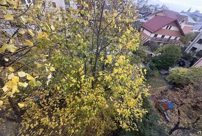 Apartament cu 3 camere semidecomandat, mobilat în Gară - 12