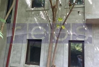 VANZARE VILA INTERBELICA | VIITORULUI | 374MP | CURTE 260MP | - 4