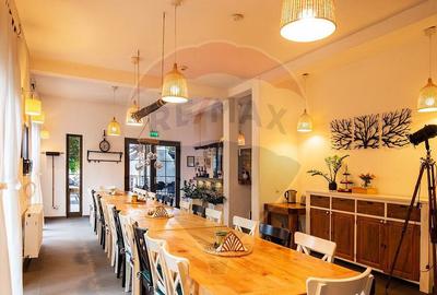 Vanzare pensiunea Casa Barolo din Vlaha - 9