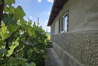 PRET DE APARTAMENT - DE VANZARE CASA cu TEREN  IN TG TROTUS LA STRADA PRICIPALA - 6