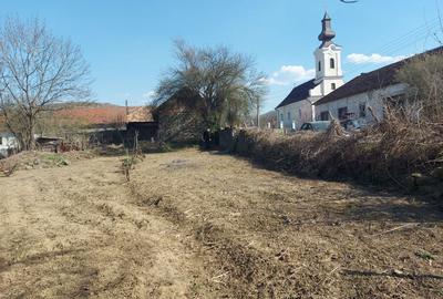 Casă cu 3 camere în Central - 2