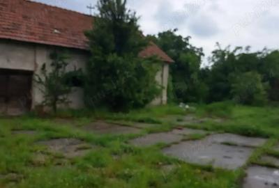 Vand hala + teren intravilan Vand hala + teren intravilan - 3