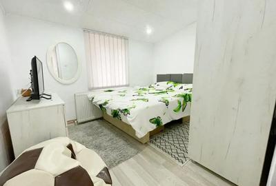 Apartament cu 2 camere nedecomandat în Iosefin - 2